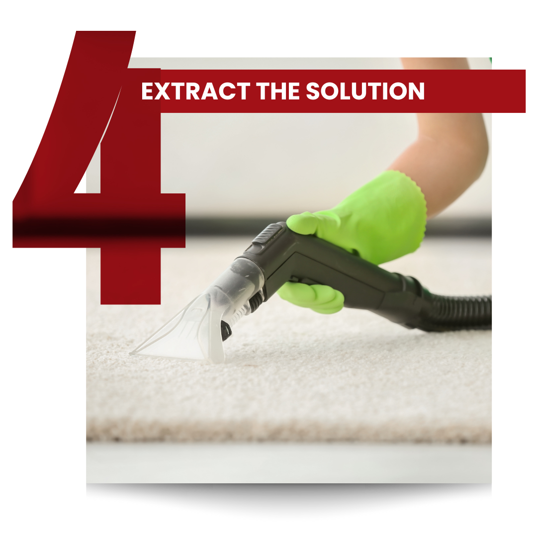 Extract the Solution