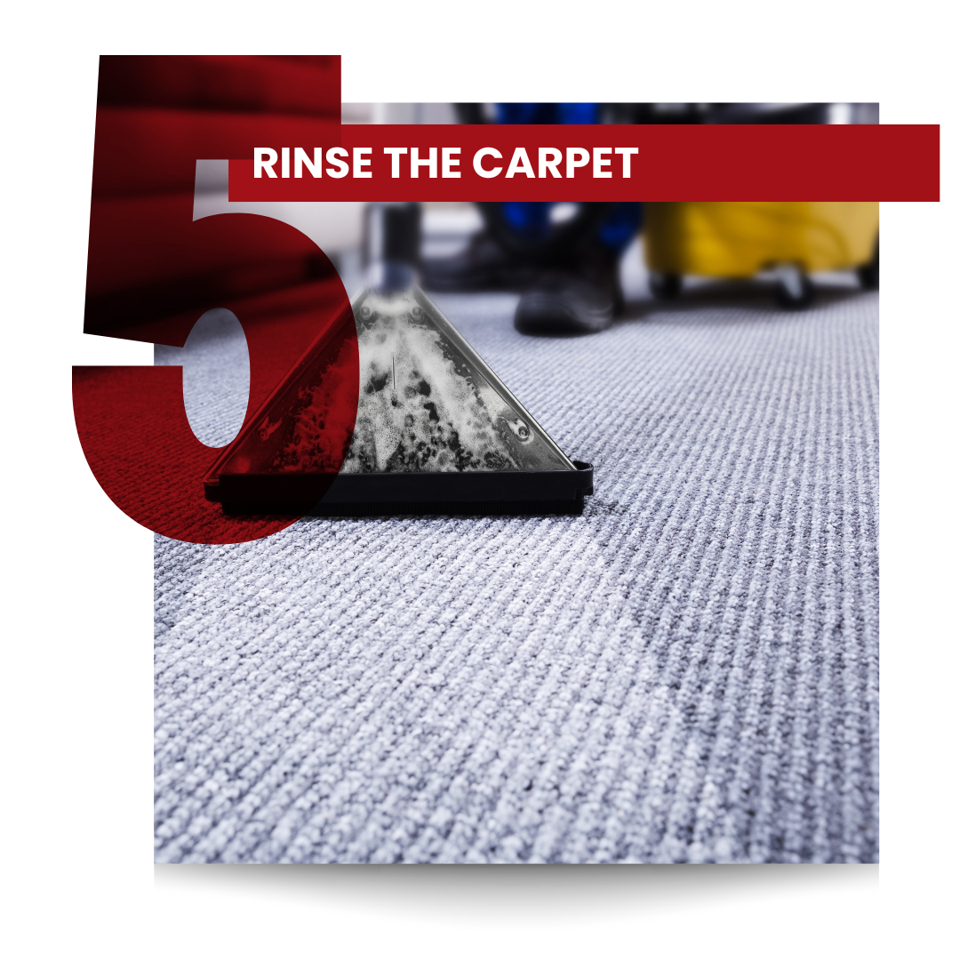 Rinse the Carpet